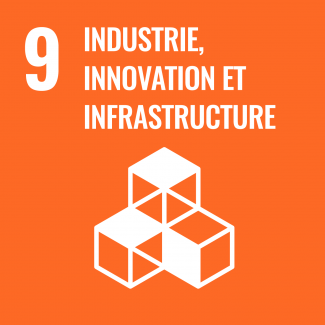 Objectif 9 : Bâtir une infrastructure résiliente, promouvoir une industrialisation durable qui profite à tous et encourager l’innovation
