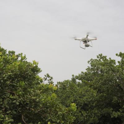 Drone and agriculture