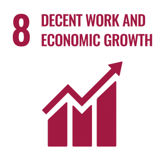 Goal 8 : Promote inclusive and sustainable economic growth, employment and decent work for all