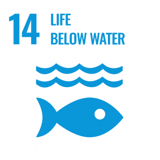Goal 14: Conserve and sustainably use the oceans, seas and marine resources