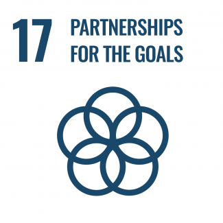 Goal 17: Revitalize the global partnership for sustainable development