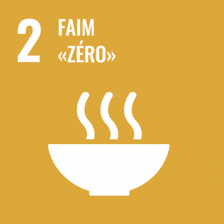 Objectif 2 : Éliminer la faim, assurer la sécurité alimentaire, améliorer la nutrition et promouvoir l’agriculture durable