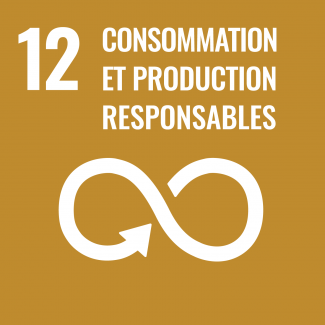 Objectif 12 : Établir des modes de consommation et de production durables