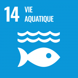 Objectif 14 : Conserver et exploiter de manière durable les océans, les mers et les ressources marines aux fins du développement durable