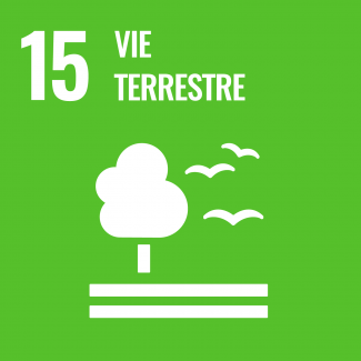 Objectif 15 : Préserver et restaurer les écosystèmes terrestres, en veillant à les exploiter de façon durable, gérer durablement les forêts, lutter contre la désertification, enrayer et inverser le processus de dégradation des sols et mettre fin à l’appauvrissement de la biodiversité