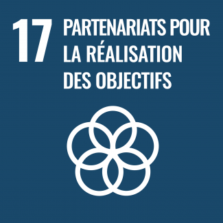 Objectif 17 : Renforcer les moyens de mettre en œuvre le Partenariat mondial pour le développement et le revitaliser.